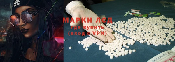 сатива Абинск