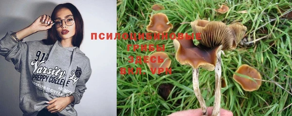 spice Абдулино