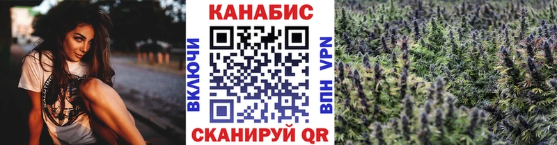 Марихуана конопля  Болохово 